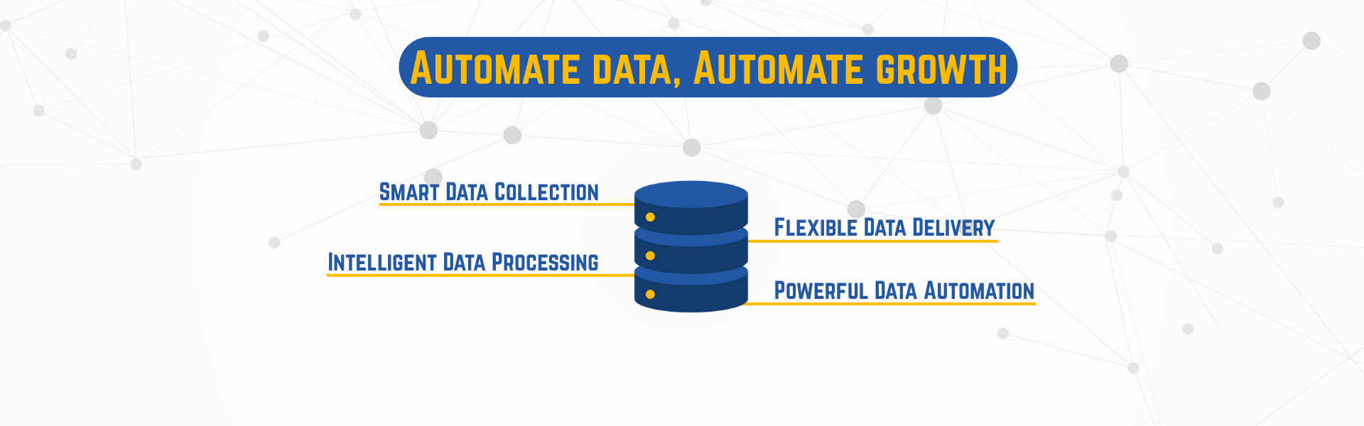Data Automation Expert